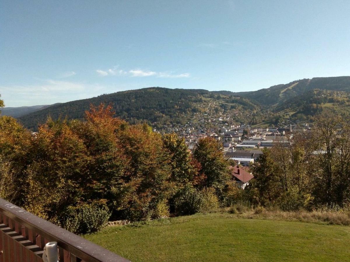 Studio Les Bleuets Gerardmer Exterior photo